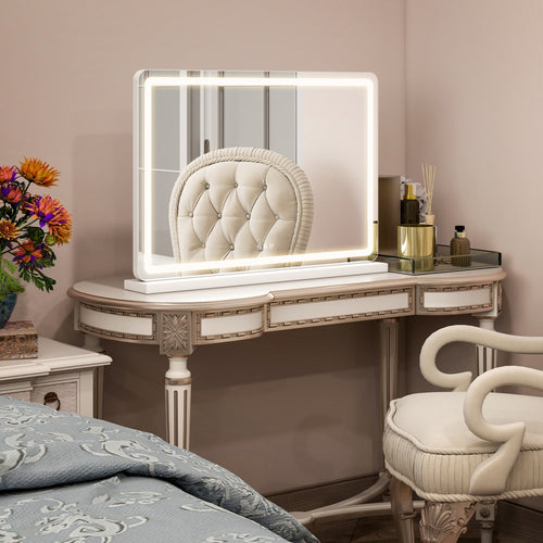 ERIVELLA LED Vanity Mirror - 13x17